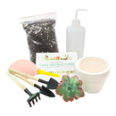 How to use gardening tool kit for growing succulent plants