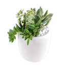 mother's day succulent arrangement, succulent plant arrangement ideas, unique diy gifts, valentines succulent arrangement, small succulent arrangement ideas, holiday succulent gifts, succulent themed gifts, succulent pot arrangement, succulent christmas gifts, cactus succulent arrangement, live succulent arrangement, Succulent Gift for Men, Thank You Gift Dad, Appreciation Gift for Dad