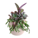 gifts for succulent lovers, succulent bowl arrangement, succulent plant gifts, indoor succulent arrangement ideas, christmas succulent arrangement, valentine's day succulent gifts, send succulent arrangement, mini succulent gifts, mother's day succulent arrangement, Succulent Gift for Men, Thank You Gift Dad, Appreciation Gift for Dad