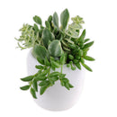 mother's day succulent arrangement, succulent plant arrangement ideas, unique diy gifts, valentines succulent arrangement, small succulent arrangement ideas, holiday succulent gifts, succulent themed gifts, succulent pot arrangement, succulent christmas gifts, cactus succulent arrangement, live succulent arrangement, Succulent Gift for Men, Thank You Gift Dad, Appreciation Gift for Dad