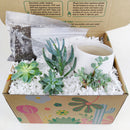 succulent themed gifts, succulent pot arrangement, succulent christmas gifts, cactus succulent arrangement, live succulent arrangement, succulent garden gifts, colorful succulent arrangement, succulent gifts, succulent arrangement ideas, succulent arrangement, how to make a succulent arrangement, succulent arrangement delivery, Father's Day Gift Box Ideas, Plant Dad Gifts, Gifts for Dad, Father's Day Gifts Delivery 2022