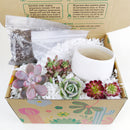 unique diy gifts, valentines succulent arrangement, small succulent arrangement ideas, holiday succulent gifts, succulent themed gifts, succulent pot arrangement, succulent christmas gifts, succulent arrangement delivery, gifts for succulent lovers, succulent bowl arrangement, succulent plant gifts, Father's Day Gifts Delivery 2022, Plant Gifts for Men