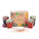 Succulent Gift Boxes, Succulent Subcription Boxes for sale, Succulents for Sale, Types of Succulents, Succulents Shop in California, Succulents and Cactus Plants, Cactus Box, Subscription Box with Care Instruction, Succulent Subscription Gift Box Monthly
