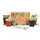 Succulent Gift Boxes, Succulent Subcription Boxes for sale, Succulents for Sale, Types of Succulents, Succulents Shop in California, Succulents and Cactus Plants, Cactus Box, Subscription Box with Care Instruction, Succulent Subscription Gift Box Monthly