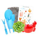 Kid-friendly Succulent Kit for sale, DIY Garden Kit, Kids DIY Garden, At home activities, Kids garden kit diy planters, unique pots for succulent and cactus, succulent pot decor, succulent pot gift ideas, Succulent pot decor ideas, succulent gift ideas, succulent gift set for sale, Succulents Black Friday discount, Succulents Black Friday 2023, christmas gift ideas, succulents for thanksgiving decor, Best Black Friday deals, Black Friday Succulent Online Deals 2023