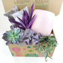 gifts for succulent lovers, succulent bowl arrangement, succulent plant gifts, indoor succulent arrangement ideas, christmas succulent arrangement, valentine's day succulent gifts, send succulent arrangement, mini succulent gifts, mother's day succulent arrangement, Succulent Gift for Men, Thank You Gift Dad, Appreciation Gift for Dad