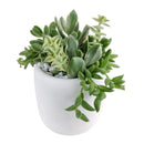 mother's day succulent arrangement, succulent plant arrangement ideas, unique diy gifts, valentines succulent arrangement, small succulent arrangement ideas, holiday succulent gifts, succulent themed gifts, succulent pot arrangement, succulent christmas gifts, cactus succulent arrangement, live succulent arrangement, Succulent Gift for Men, Thank You Gift Dad, Appreciation Gift for Dad