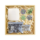 Father's Day Gift Box, Father's Day Gift Box Ideas, Plant Dad Gifts, Gifts for Dad, Father's Day Gifts Delivery 2022, Plant Gifts for Men, Happy Father's Day Gift, Succulent Gift for Men, Thank You Gift Dad, Appreciation Gift for Dad, valentine's day succulent gifts, send succulent arrangement, mini succulent gifts, mother's day succulent arrangement, succulent plant arrangement ideas, unique diy gifts, valentines succulent arrangement, small succulent arrangement ideas
