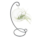 Globe Holder