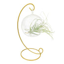 Globe Holder