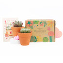 Succulent Subcription Boxes, Succulent Subscription Boxes, Succulents Box Monthly, Succulents for Sale, Succulents Box with Care Guide, Cactus Boxes, Succulent Plant