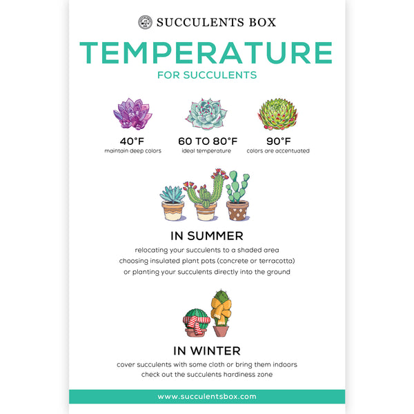 ideal temperature for succulents Temperature for Succulents | Succulent Care Card