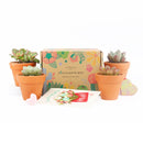 Succulents for Sale, Types of Succulents, Succulents Shop in California, Succulents and Cactus Plants, Cactus Box, Subscription Box with Care Instruction, Succulent Subscription Box