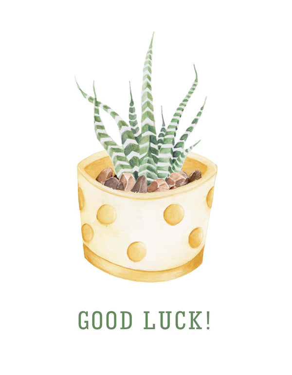 succulent plants for good luck Good Luck Card | Greeting Card | Succulent Gift