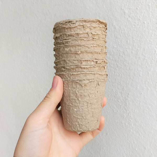 biodegradable plant pots wilko Biodegradable Pots (set 5)