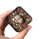Buy an 8-pack of Lithops live plants online. Each living stone features unique markings and earthy colors for a natural, sculptural look. Easy to care for, they thrive in bright light, gritty well-draining soil, and minimal watering.