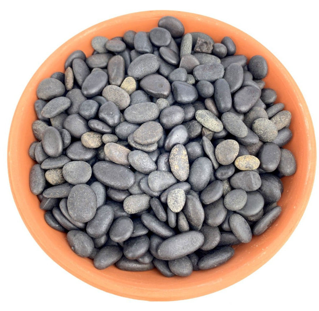 Polished Black Pebbles
