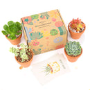 Succulents for Sale, Types of Succulents, Succulents Shop in California, Succulents and Cactus Plants, Cactus Box, Subscription Box with Care Instruction, Succulent Subscription Box