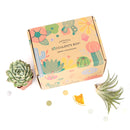 Succulent subscription box delivered monthly, Succulent subscription gift for sale, airplants subscription box monthly