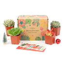 Succulent Gift Boxes, Succulent Subcription Boxes for sale, Succulents for Sale, Types of Succulents, Succulents Shop in California, Succulents and Cactus Plants, Cactus Box, Subscription Box with Care Instruction, Succulent Subscription Gift Box Monthly