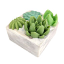 Succulent soap, succulent garden soap, succulent arrangement soap, random succulent arrangement soap, natural soap, botanical soap, handmade succulent soap, organic succulent soap