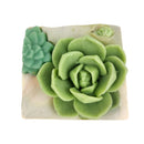 Succulent soap, succulent garden soap, succulent arrangement soap, random succulent arrangement soap, natural soap, botanical soap, handmade succulent soap, organic succulent soap