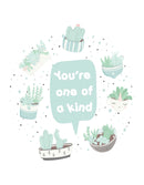 Succulents Gift Favor