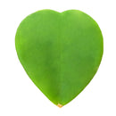 buy hoya sweetheart live houseplant 4" pot online, vibrant heart-shaped plump waxy leaves in lush forest green, semi-succulent tropical vining houseplant, slow-growing long-lived form, bright indirect light lover with drought tolerance, beautiful bohemian indoor accent plant, a heartfelt and lasting gift for any occasion
