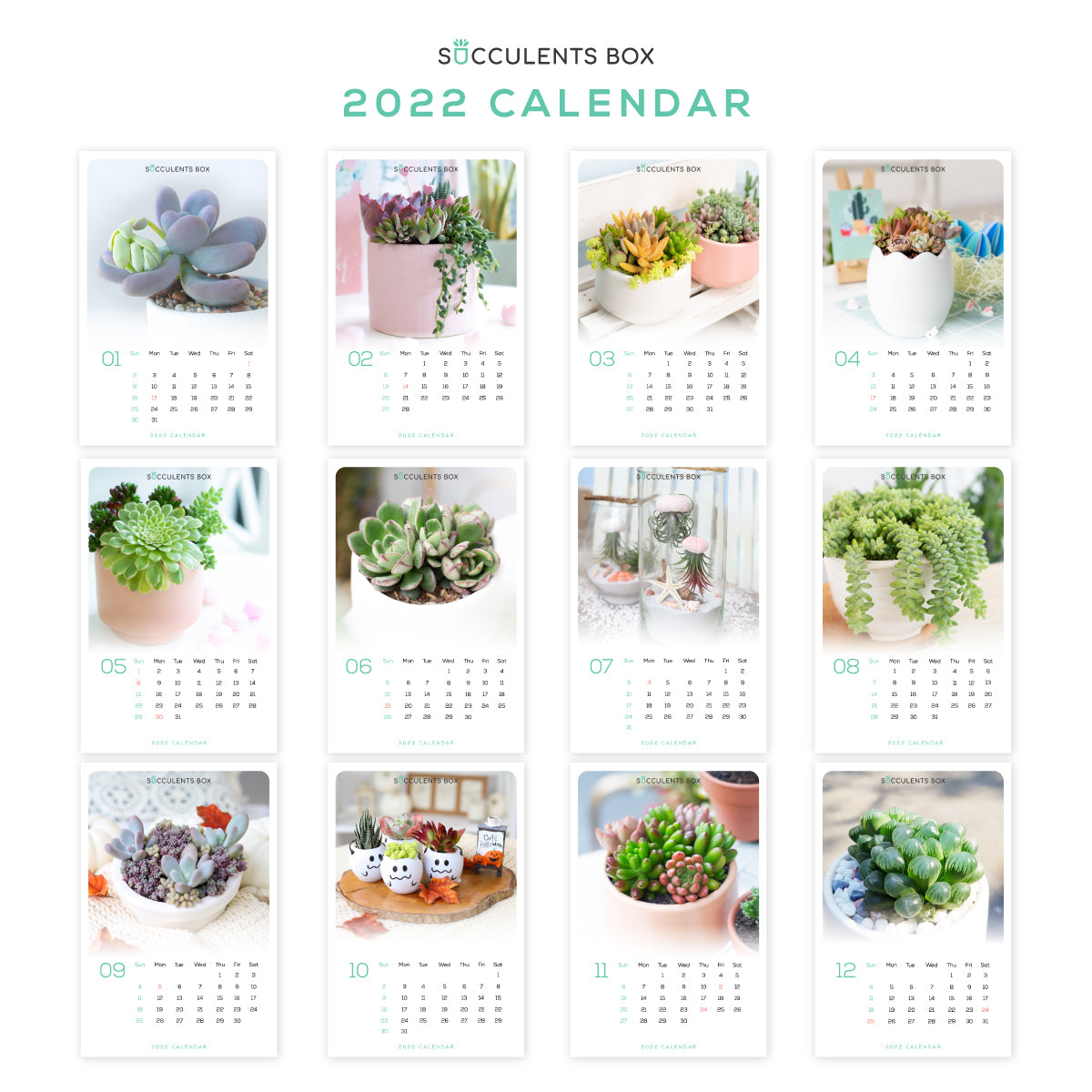 Succulent Calendar 2022, Printable Monthly Cactus and Succulents Calendar, Cute office calendar, Modern office calendar decor, 2022 Succulents Wall Calendar, Nature Themed Home, Office -Housewarming Gift