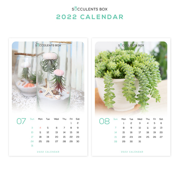 Printable: 2022 Calendar - Succulents Box printable-2022-calendar-succulents-box