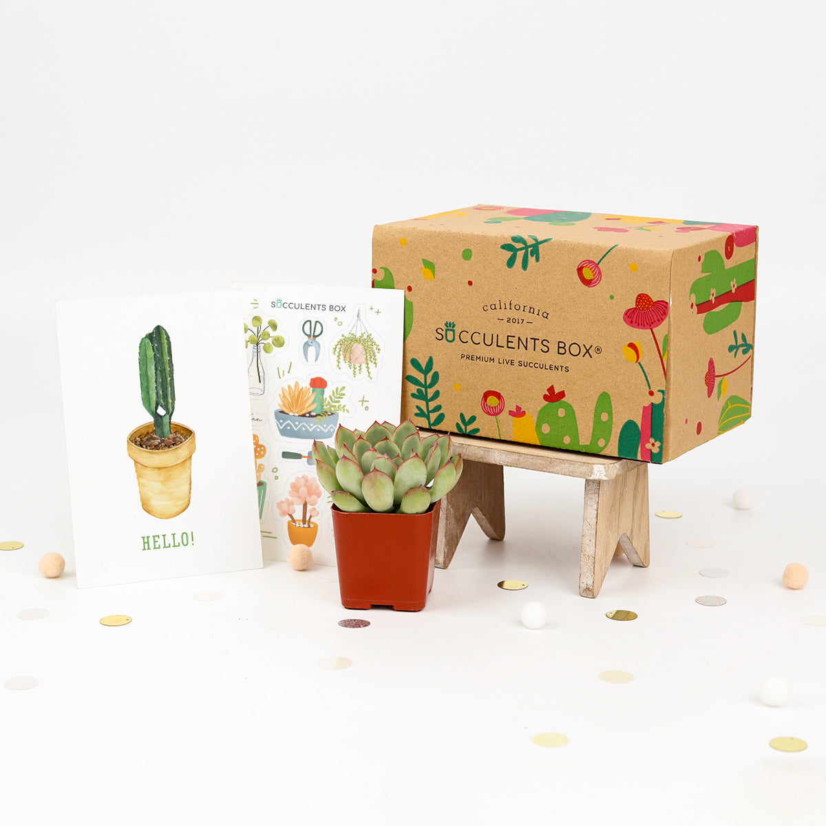 EcoFriendly Succulent Gift Box for Employee, Corporate Gift Succulents For Sale Online, Succulent Thank You Gift Ideas, Thank you gift for your staff in 2022, Customizable Gift Boxes for employees and clients