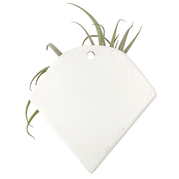 triangle hanging planter Triangle Hanging Planter | Buy Ceramic Air Plant Display