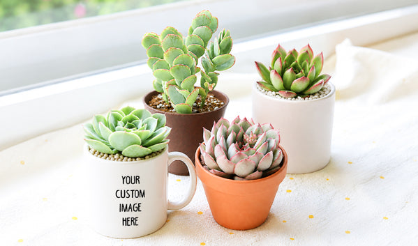 Custom Planters Menu