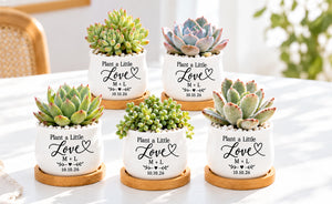 Custom Planters Menu