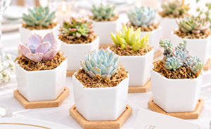 Bulk/ Corporate/ Wedding Menu