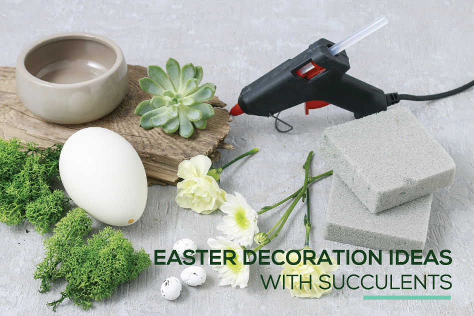 Stunning Easter Decoration ideas with Succulents