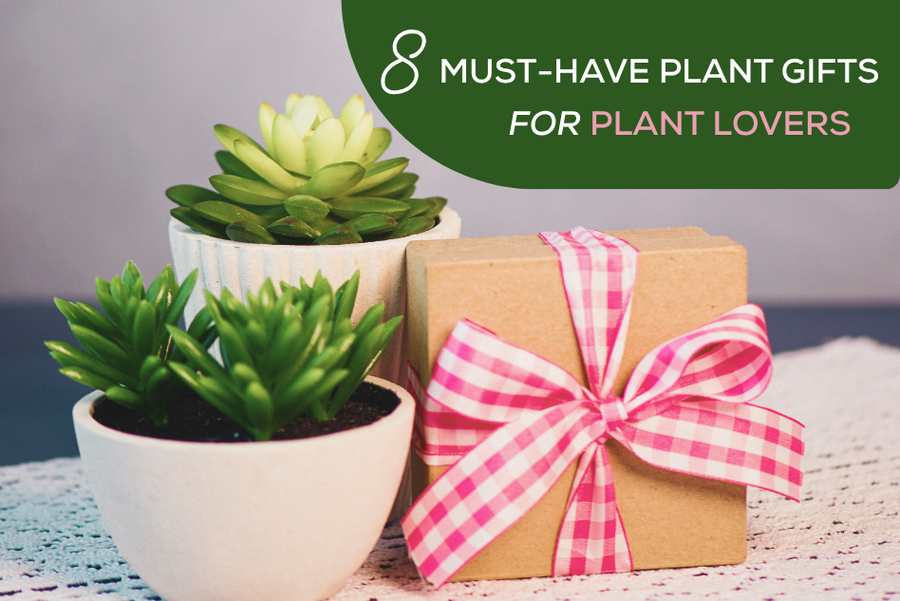 8 Must-Have Plant Gifts for Plant Lovers