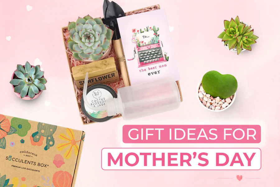 10 Succulent Gift Ideas for Mother’s Day