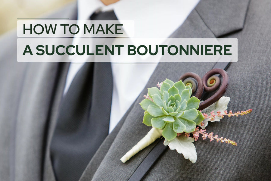 How to Make a Succulent Boutonniere