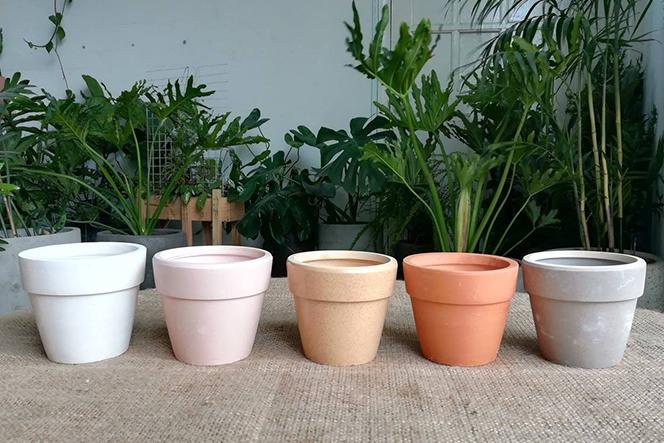 Choose the Right Pot Material for Your Succulents - Succulents Box