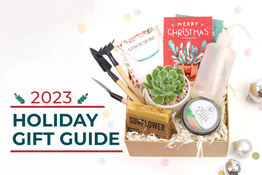 Surprise Your Loved Ones with These 10 Perfect Gift Ideas this Holiday Season