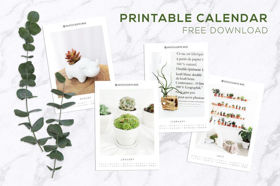 Printable Succulent Calendar 2019