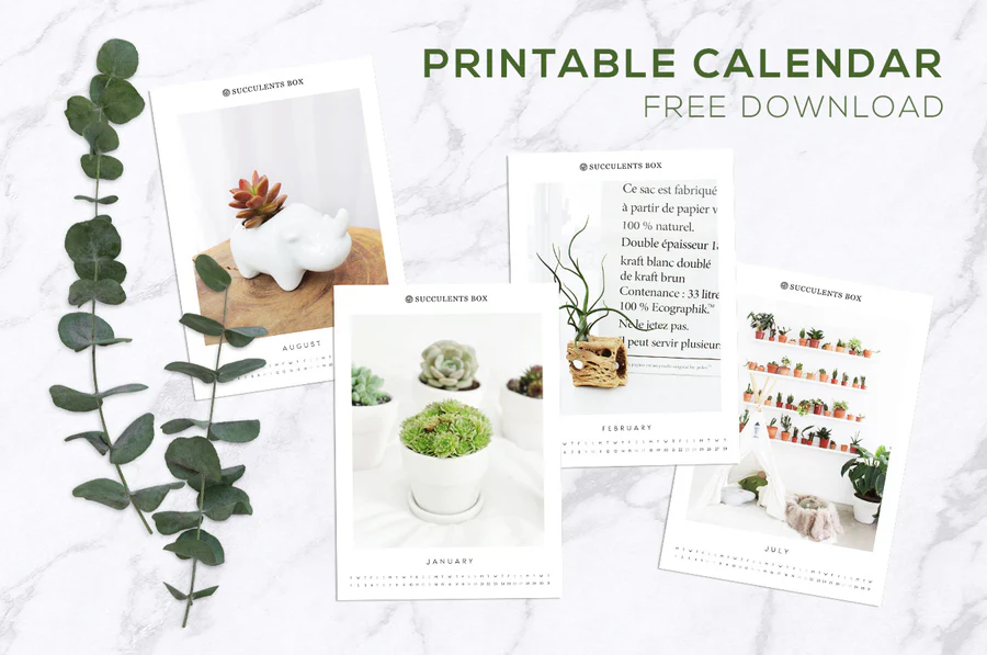Our Xmas Gift: Free Printable Succulent Calendar 2019 - Succulents Box our-xmas-gift-free-printable-succulent-calendar-2019-succulents-box