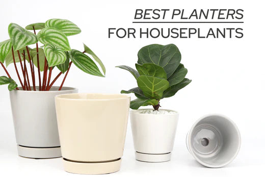 How to Choose A Perfect Planter for Your Houseplants, Best Planters for Houseplants