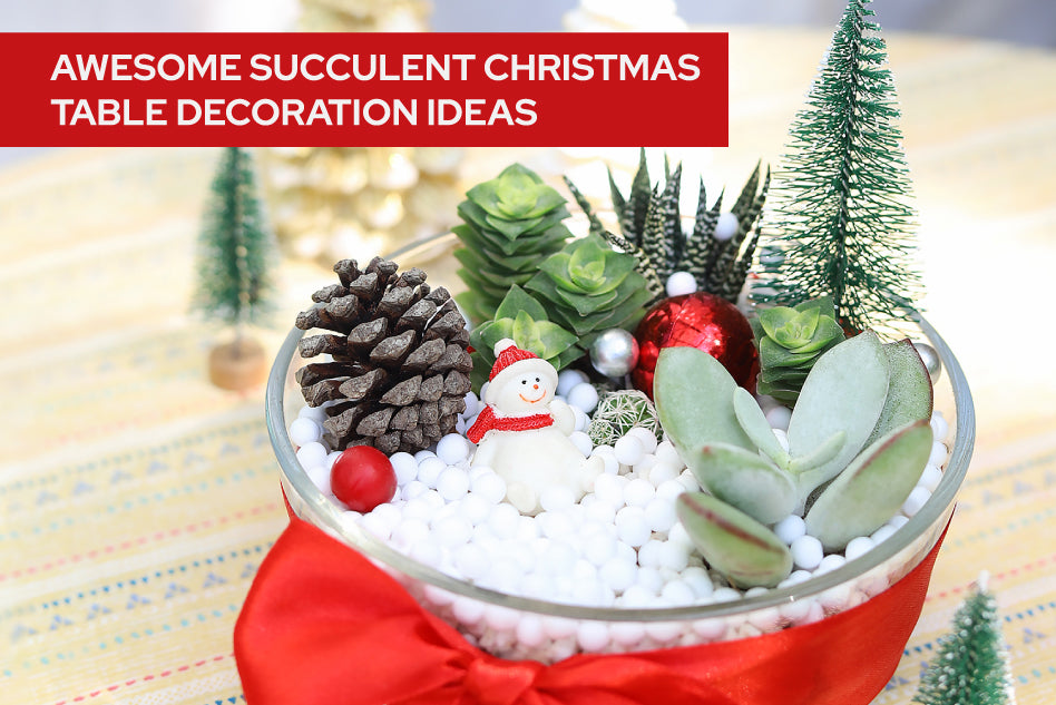 Awesome Succulent Christmas Table Decoration Ideas