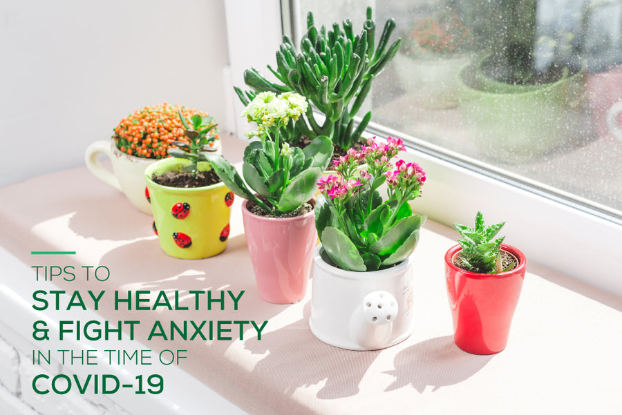 Tips to stay healthy & fight anxiety in the time of COVID-19, Succulents can ease COVID-19 stress and boost mental health, Ways to Manage Stress and Anxiety During Social Distancing, COVID-19 and mental health