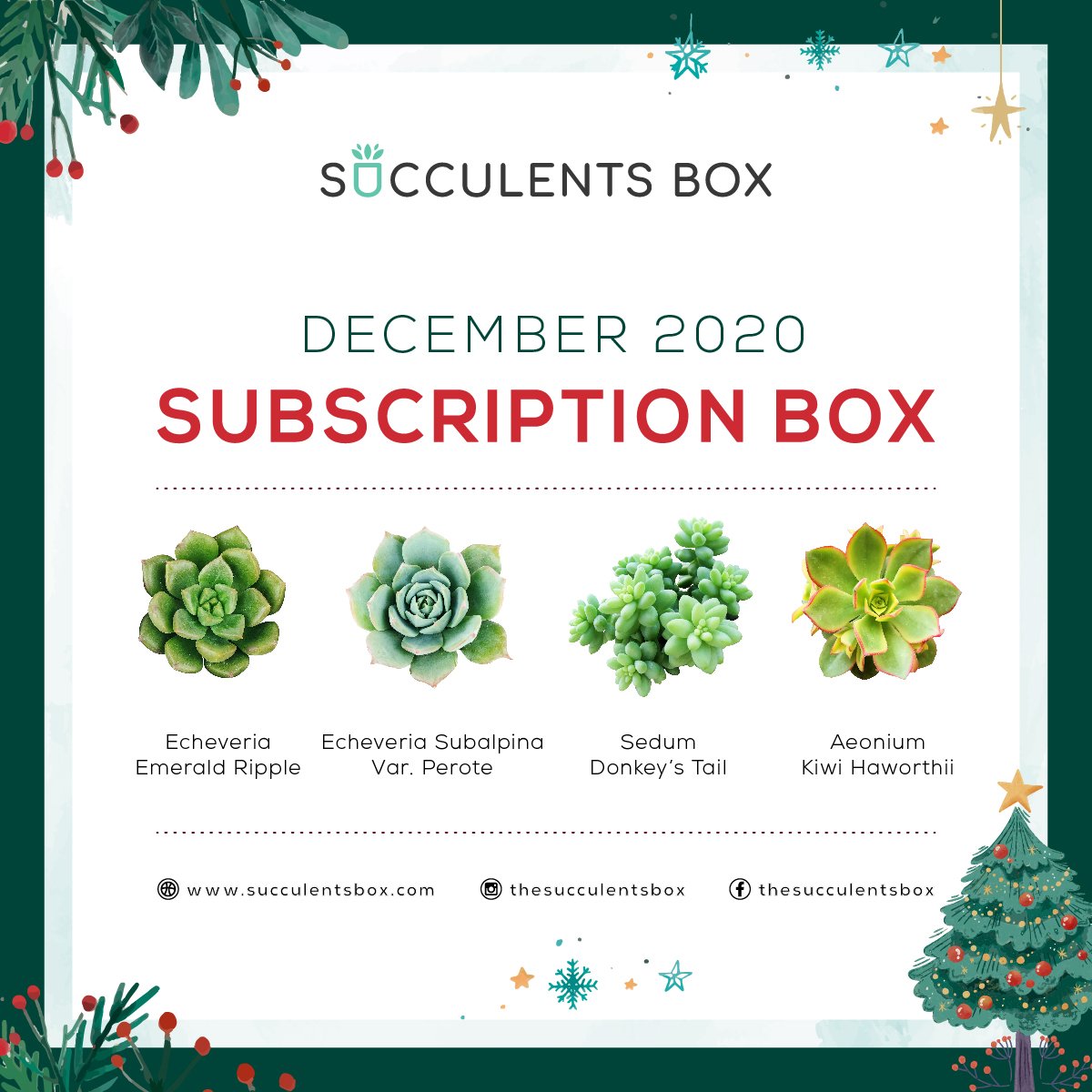 December 2020 Box