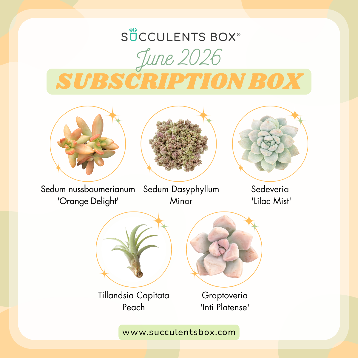 June 2026 Box