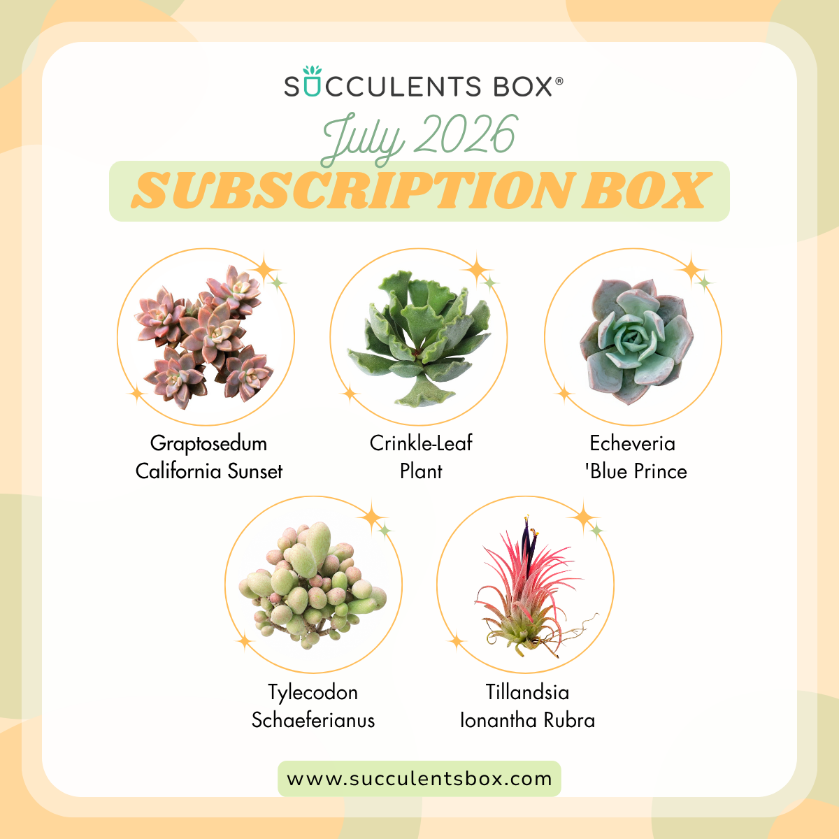 July 2026 Box