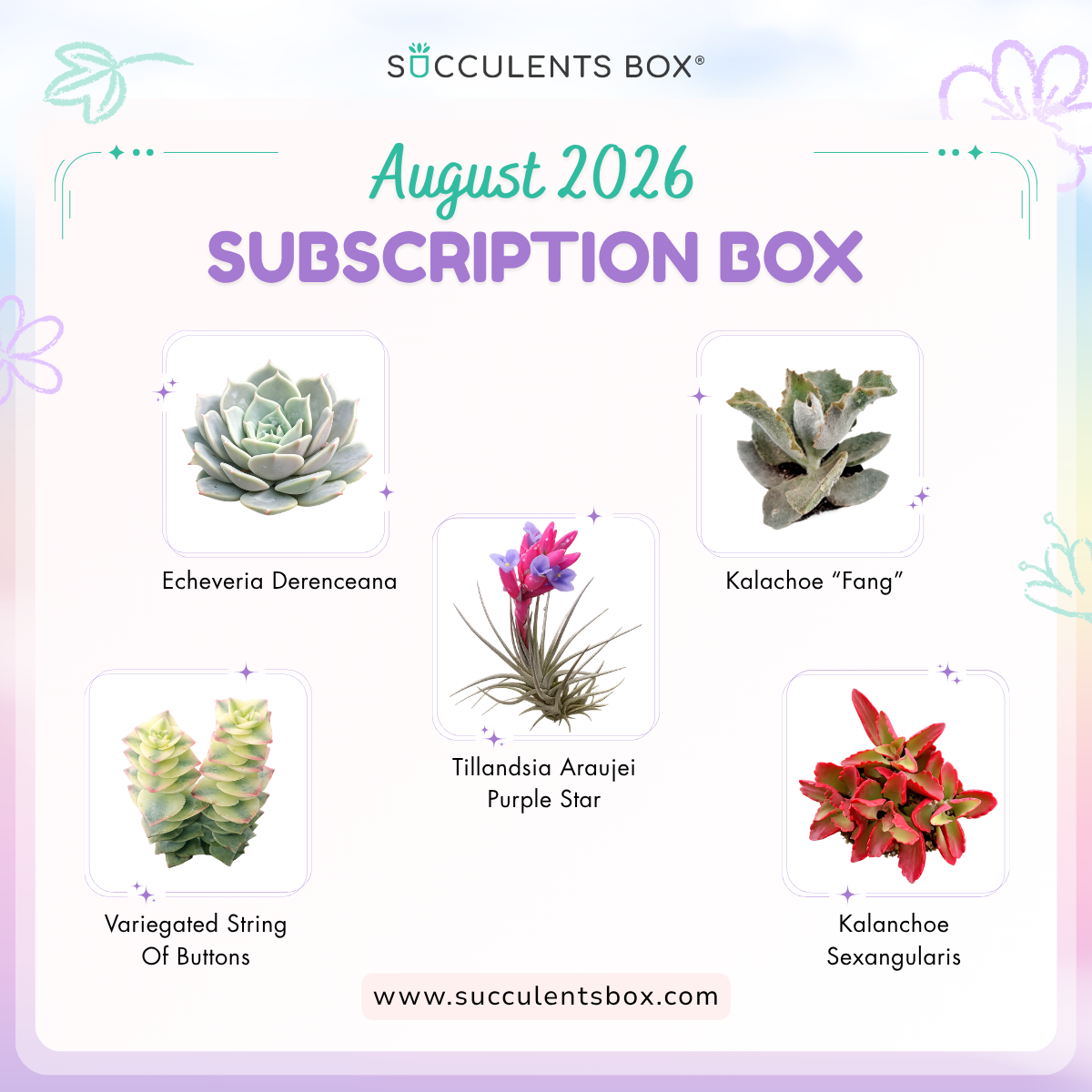 August 2026 Box